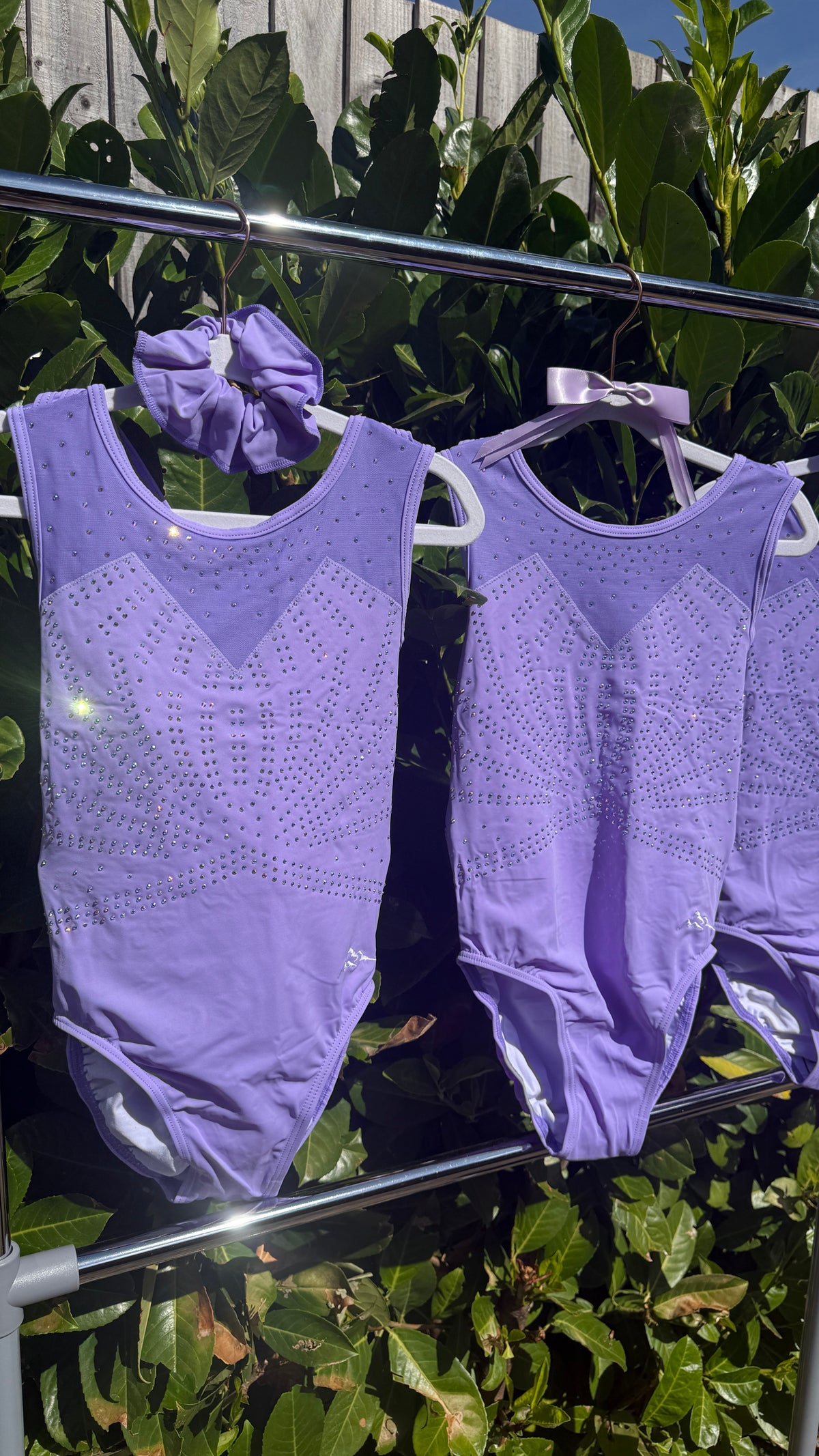 Lavender
